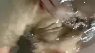 欧美日韩人妻激情-第一次与男友以外的男人在行使中车震!